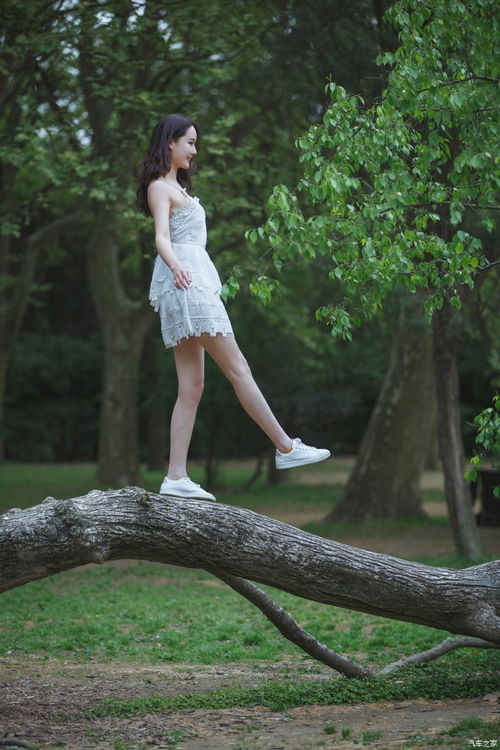 圍標(biāo)串標(biāo)六種常見手法及其法律風(fēng)險(xiǎn)警示